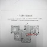 75平浪漫两房